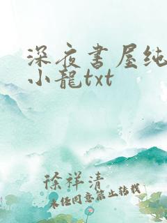 深夜书屋纯洁滴小龙txt