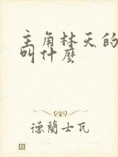 主角林天的小说叫什么