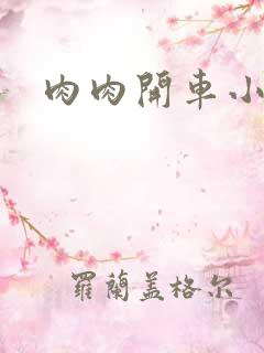 肉肉开车小说 肉肉开车小说