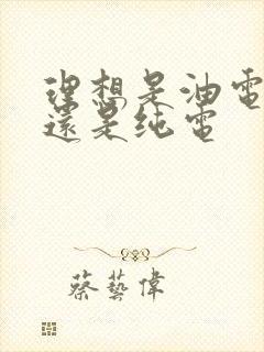 理想是油电混合还是纯电