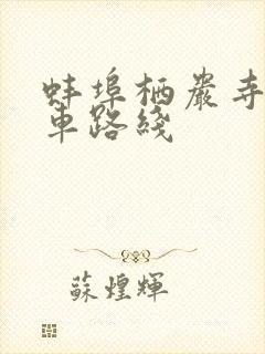 蚌埠栖岩寺公交车路线