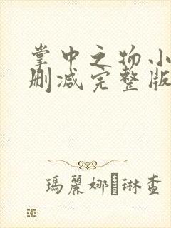 掌中之物小说未删减完整版