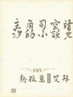主角司空靖苏月汐的小说免费阅读