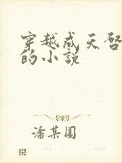 穿越成天启皇帝的小说