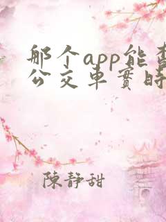 那个app能查公交车实时到站