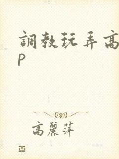 调教玩弄高hnp