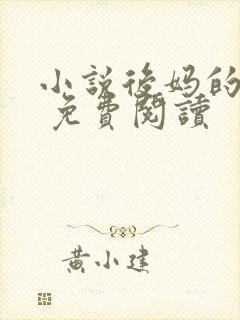 小说后妈的春天 免费阅读