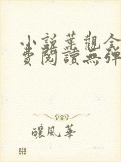 小说叶观全文免费阅读无弹窗
