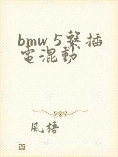 bmw 5系插电混动