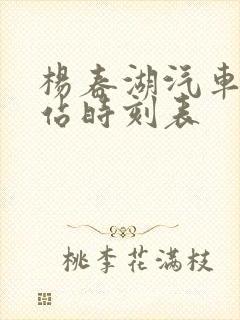 杨春湖汽车客运站时刻表