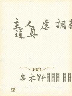 主人 虐 调教 道具