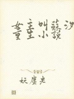 女主叫苏汐月的重生小说