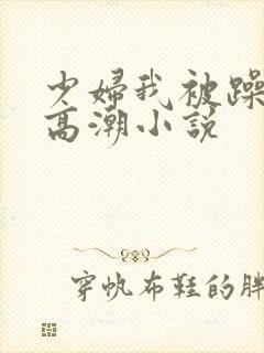 少妇我被躁爽到高潮小说