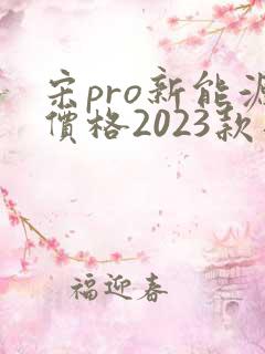 宋pro新能源价格2023款落地价