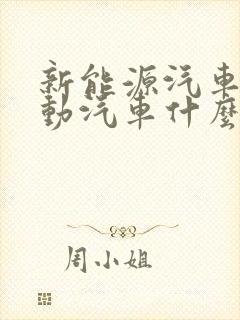 新能源汽车纯电动汽车什么牌子好