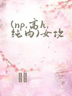 (np,高h,纯肉)女攻