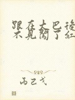 跟在大巴后面看不见闯了红灯,怎么办