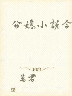 公媳小说合集