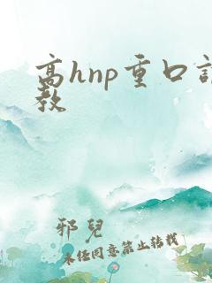 高hnp重口调教