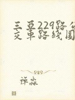 三亚229路公交车路线图