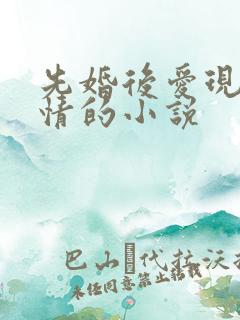 先婚后爱现代言情的小说