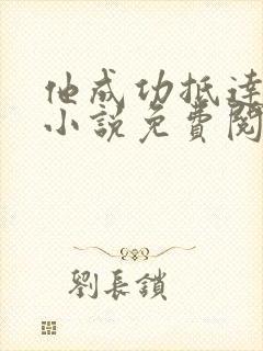 他成功抵达花心小说免费阅读全文