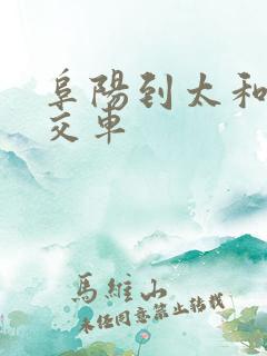 阜阳到太和的公交车