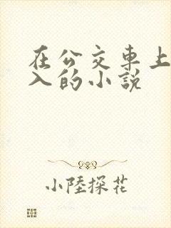 在公交车上被后入的小说
