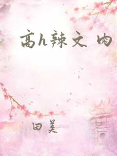 高h辣文 肉