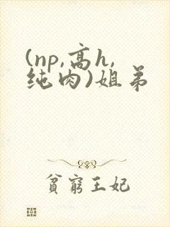 (np,高h,纯肉)姐弟