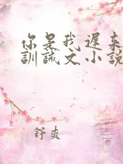你是我迟来的光训诫文小说在线阅读
