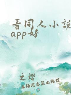 看同人小说哪个app好