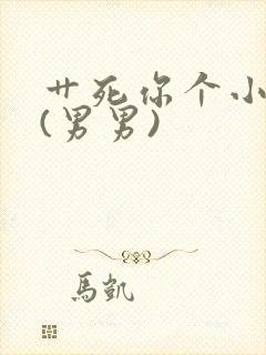 艹死你个小骚货(男男)