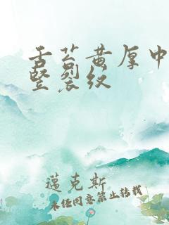 舌苔黄厚中间有竖裂纹