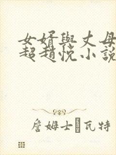 女婿与丈母娘陈超赵悦小说阅读