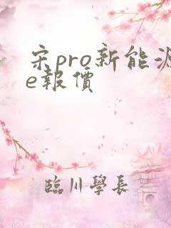 宋pro新能源e报价