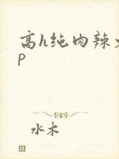 高h纯肉辣文np