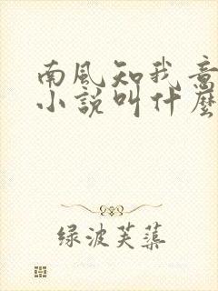 南风知我意原著小说叫什么