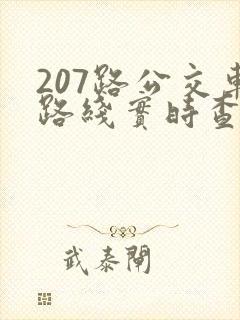 207路公交车路线实时查询 207路公交车路线实时查询