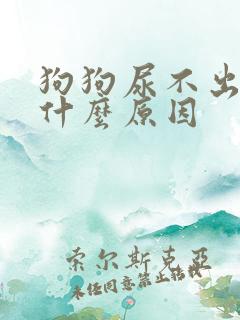 狗狗尿不出来是什么原因