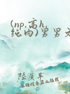 (np,高h,纯肉)男男文
