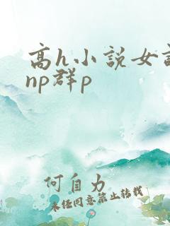 高h小说女调教np群p
