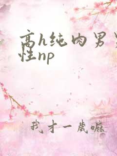 高h纯肉男男双性np 高h纯肉男男双性np