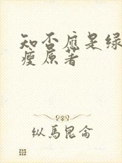 知否应是绿肥红瘦原著