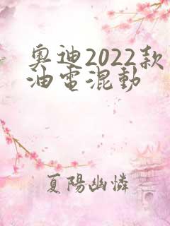 奥迪2022款油电混动