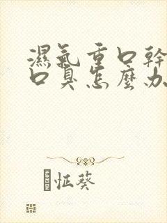 湿气重口干口苦口臭怎么办