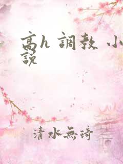 高h 调教 小说
