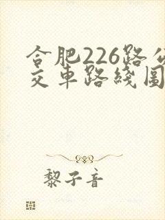 合肥226路公交车路线图