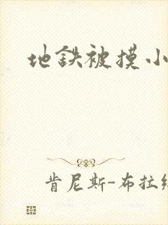 地铁被摸小说