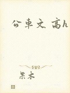 公车文 高h